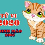 Tử vi tuổi Đinh Mão 2020 theo tháng