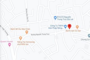 Bán nhà Nguyễn Trung trực, Phường 4 Đà Lạt